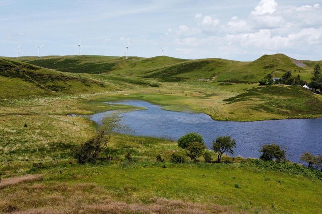 Penybryn, Aberystwyth photo 3