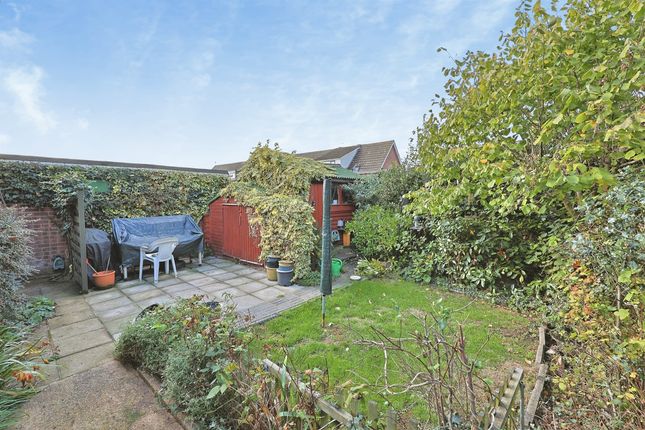 Ilex Court, Norwich photo 4