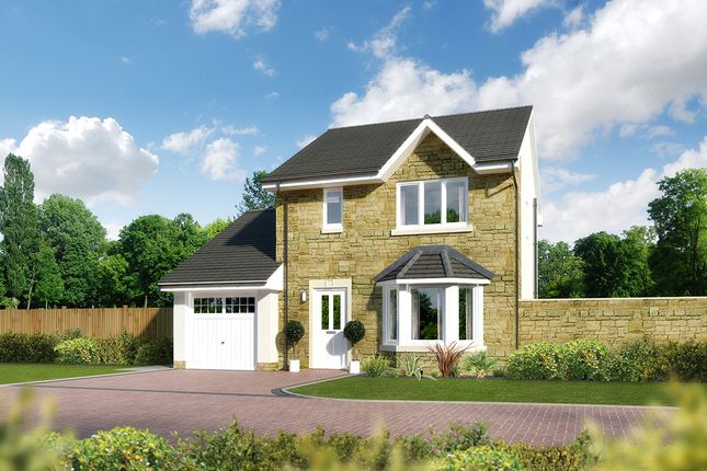 Thumbnail Detached house for sale in "Jedburgh" at The Green, Berrymuir Road, Portlethen, Aberdeen