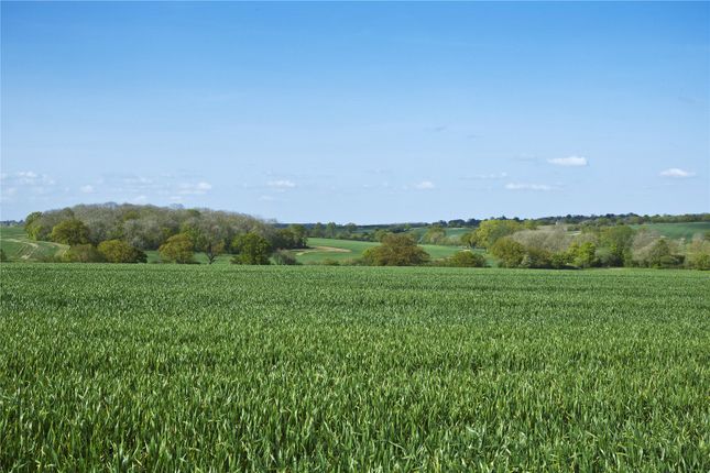 Thumbnail Land for sale in Cooks Farm &amp; Flats Farm, Stanningfield, Bury St. Edmunds, Suffolk