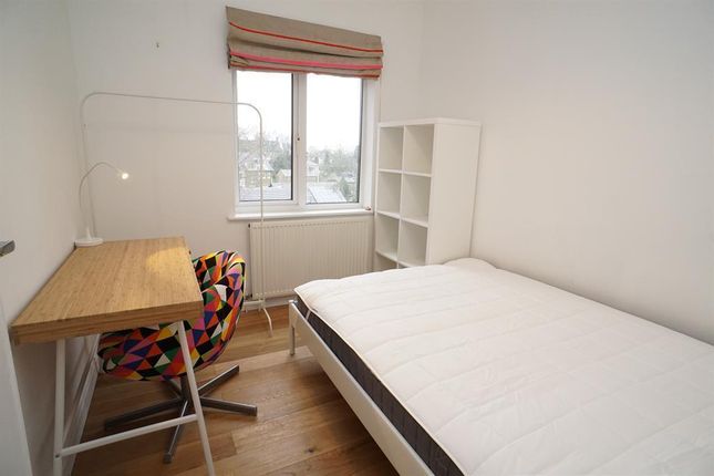Property to rent in Sydney Road, Crookesmoor, Sheffield