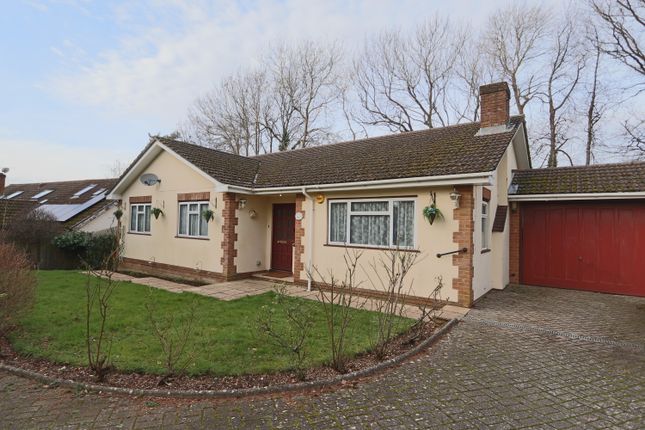 Detached bungalow to rent in Taunton Lane, Coulsdon