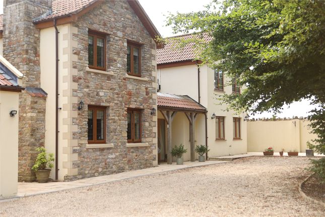 Cranmore View,, Priddy, Somerset photo 3