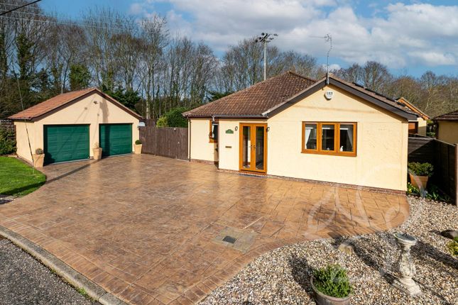 Detached bungalow for sale in Mary Lane South, Great Bromley, Colchester