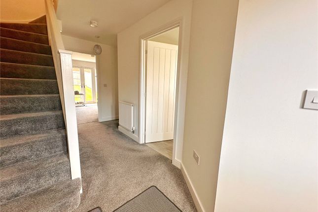 9, Watt Drive, Middleton photo 3