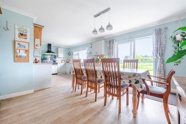 Anneth Lowen, -, Helston photo 4