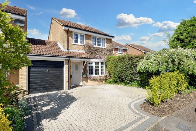 Thumbnail Detached house for sale in Martingale Drive, Springfield, Chelmsford