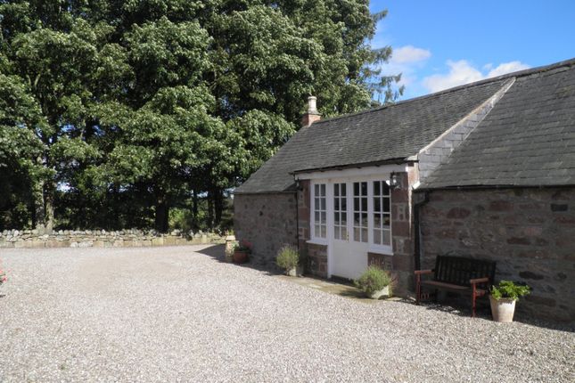 Thumbnail Cottage to rent in The Cairn, Forfar, Angus