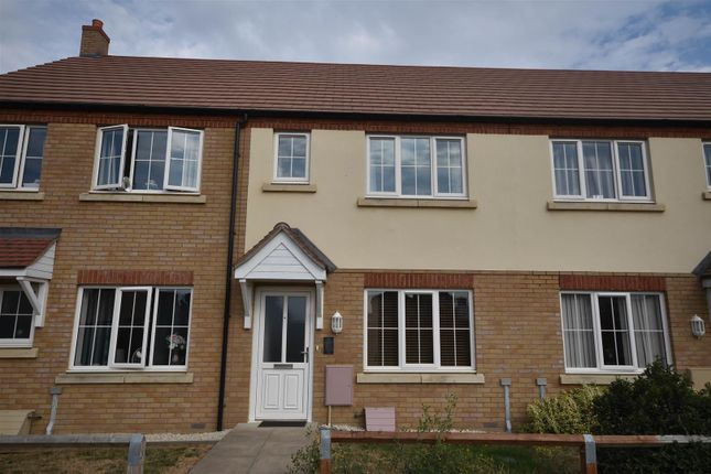Thumbnail Terraced house to rent in Harvest Way, Littleport, Ely