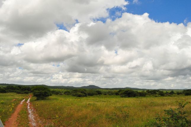 Farm for sale in 1 Buffalo Ranch, 1 Selati Nature Reserve, Selati Game Reserve, Hoedspruit, Limpopo Province, South Africa