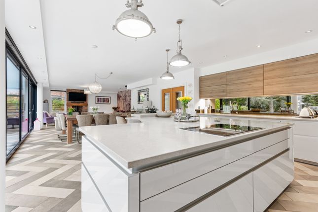 Kitchen/Living/Diner