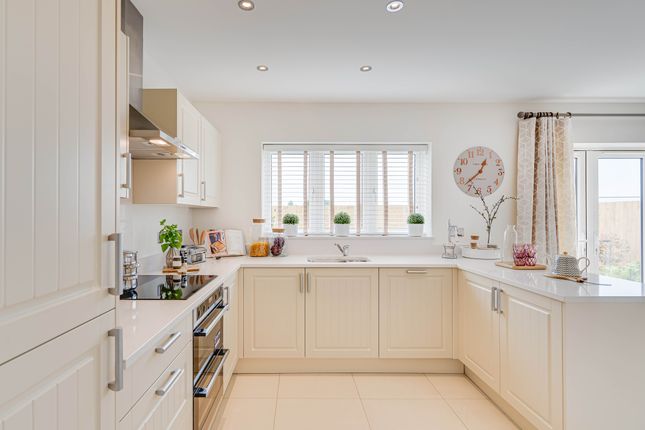 Detached house for sale in "The Carlisle" at Hartburn, Morpeth