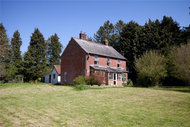 Detached house for sale in Coombe Bissett, Salisbury, Wiltshire