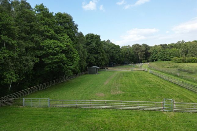 Thumbnail Land for sale in New Road, Landford, Salisbury, Wiltshire