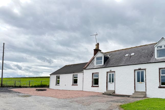 The Property