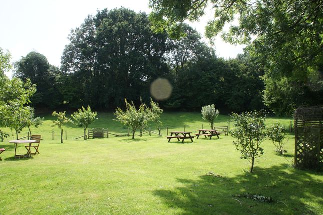 Bungalow to rent in Stoke Road, Stoke Abbott, Beaminster