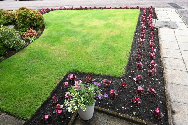 25 Arran Park, Shore Road, Dunoon photo 3