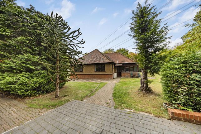 Photo Oct 10 2025, 2 16 16 Pm.Jpg