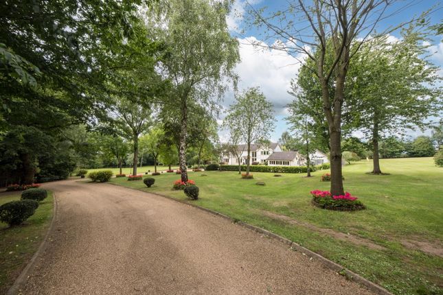5 Bedroom houses for sale in Dunham on the Hill - Zoopla
