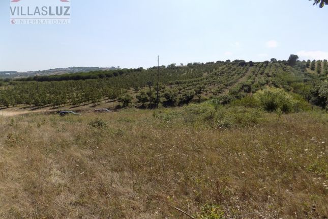 Land for sale in Delgada, Roliça, Bombarral
