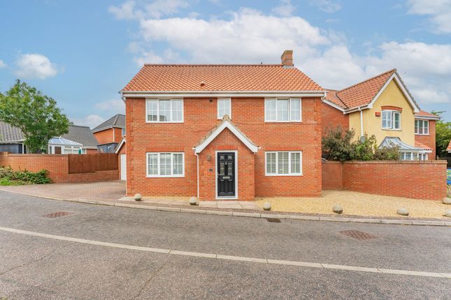 Thumbnail Detached house for sale in Mardle Street, Norwich