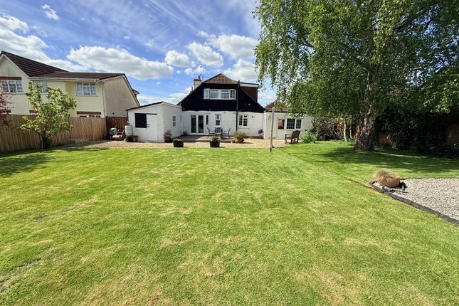 Amberleigh House, Yeovil photo 2