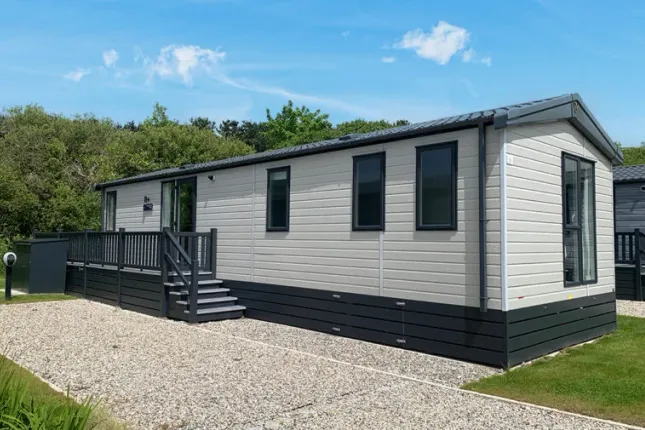 Img 3615 Edit Retouch 802x505 F50 50