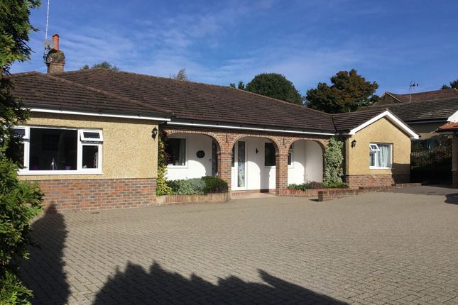 Thumbnail Detached bungalow for sale in Stone Quarry Road, Chelwood Gate
