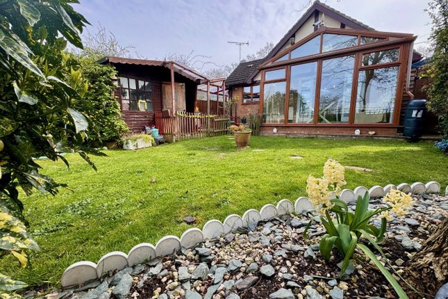 Thumbnail Detached bungalow for sale in Greensward Lane, Hockley, Essex