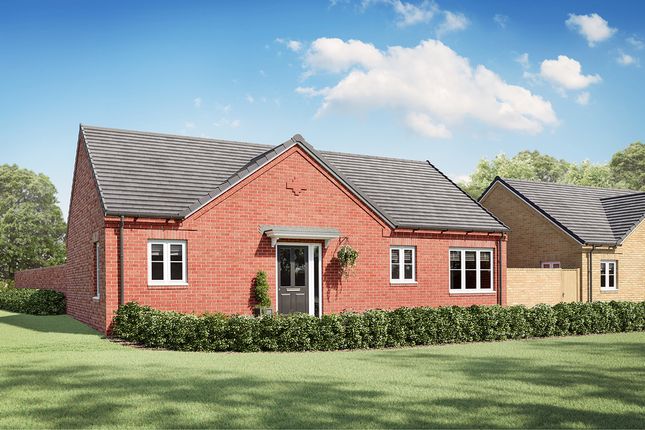 Thumbnail Bungalow for sale in "The Glaston" at Grange Lane, Littleport, Ely