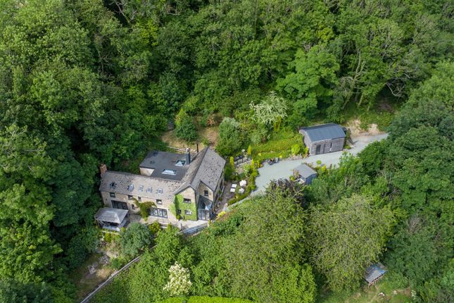 Dji_0884.Jpg