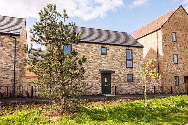 Detached house to rent in Primrose Walk, Winteringham, St Neots