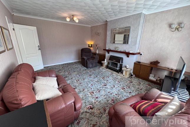 The Conifer,, Mary Street, Rhondda Cynon Taff photo 5