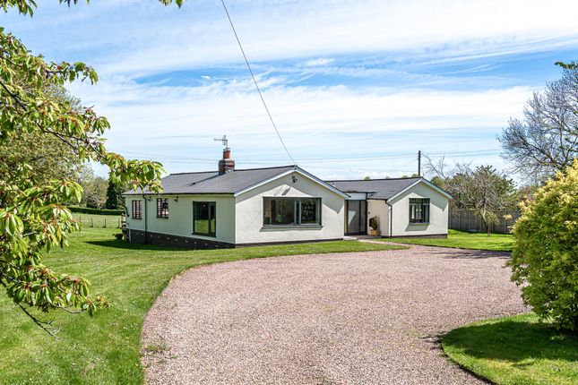 Thumbnail Detached bungalow for sale in Upper Welland Road, Malvern