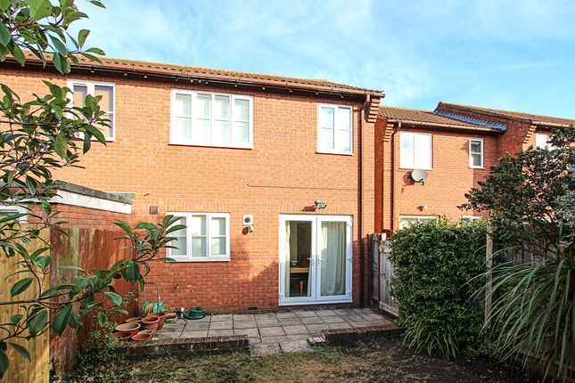 Semi-detached house to rent in Corsican Pine Close, Newmarket