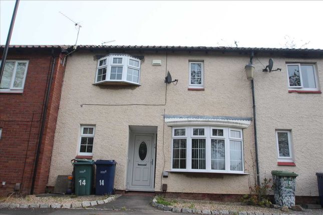 Terraced house to rent in Mendip Drive, Washington