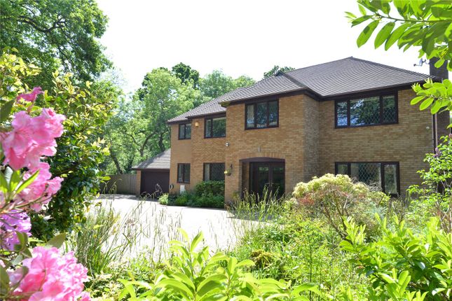 Detached house for sale in Brockhills Lane, New Milton, Hampshire