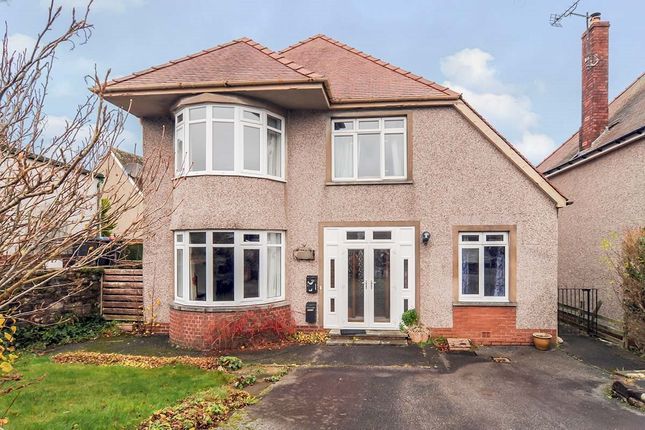 Thumbnail Detached house to rent in Suffolkhill Avenue, Dumfries