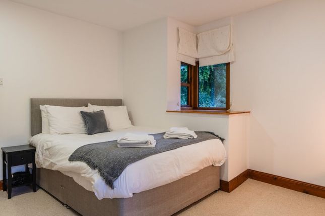 Bedb