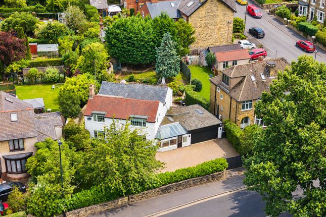 Oakdale Villa, 46 Abbeydale Road South, Sheffield photo 4