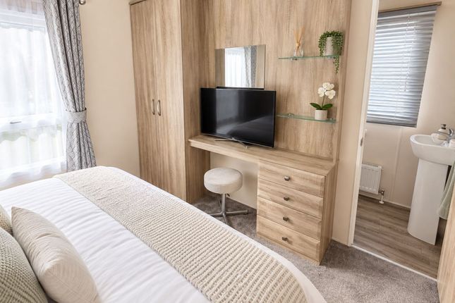 Europa Willow, Marsh Road, Lowestoft photo 5