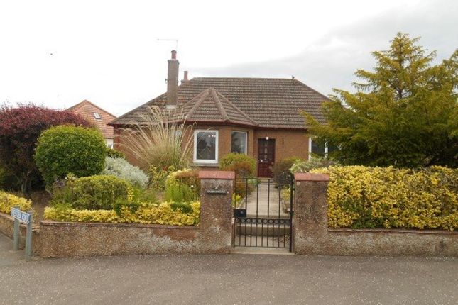 Thumbnail Detached house to rent in Priestden Road, St. Andrews