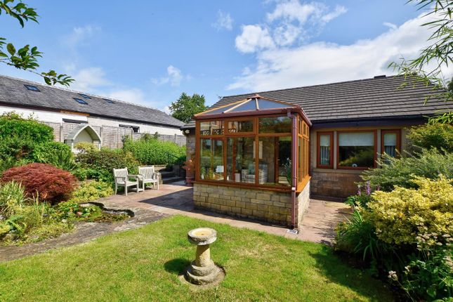 Thumbnail Bungalow for sale in Halstead Close, Barrowford, Nelson