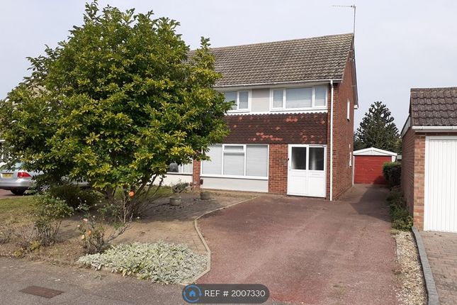 Semi-detached house to rent in Crossways, Sittingbourne ME10
