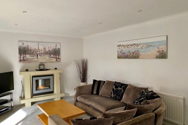 Jenterra, College Lane, Brecon photo 4