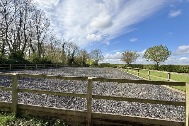 Courtyard Barn, Pristow Green Lane, Tibenham photo 4