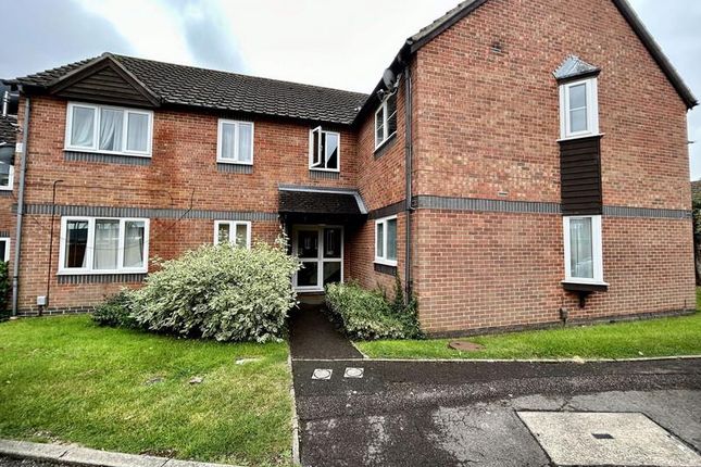 Img-7036_A704-9F82-34c7-F1Fd-49F6-58Aa-6F89-3Caf_2