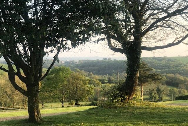 Gardens And Grounds