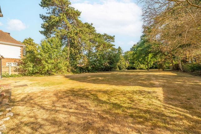 Flat 2, 29, Corkran Road, Surbiton photo 4