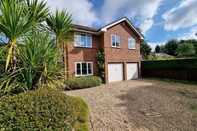 Thumbnail Detached house for sale in Bramblings, Cheselbourne, Dorchester, Dorset
